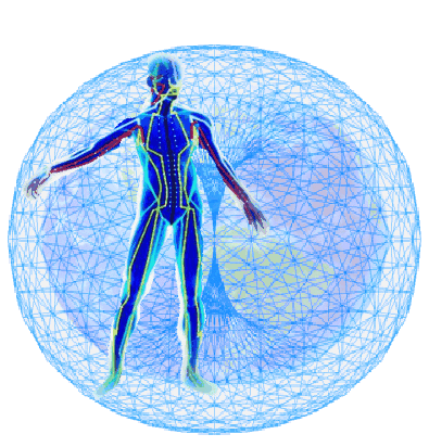 silhouette of a male body with lines extending down the torso, arms and legs, to represent the acupuncture meridian energy pathways. In the background, is a circular animated image that shows Earth's electromagentic field. The field is shown as a donut shape with a grid like pattern. Planet Earth is  contained in the field. 