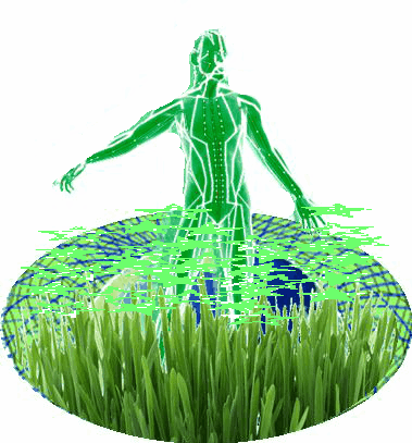 silhouette of a male body with lines extending down the torso and arms, to represent the acupuncture meridian energy pathways. The figure's legs are obscured by tall blades of grass that are anmiated to depict Earth's grounding energies.