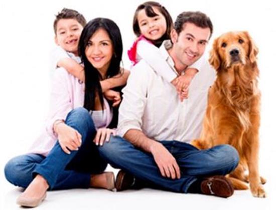 portrait of family comprised of father, mother, young boy, young girl and golden retreiver.